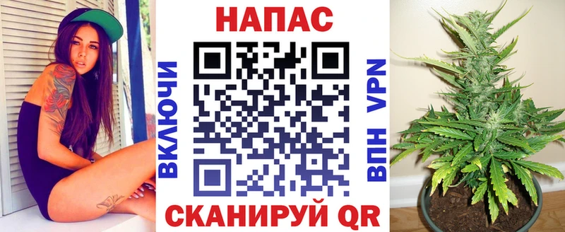 МАРИХУАНА гибрид  Гаджиево 
